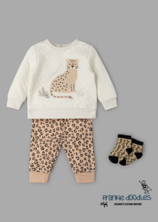 Baby Leopard Set